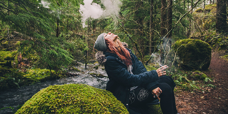 ¿Por Qué Combinar Las Acampadas Con El Cannabis?