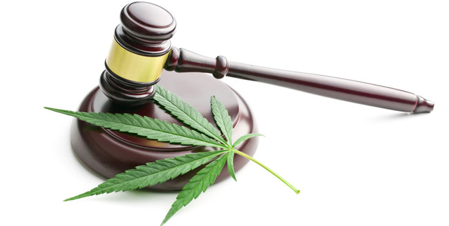 Legalidad cannabis Legalidad cannabis