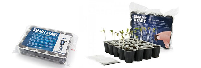 Smart start cultivar marihuana Smart start cultivar marihuana