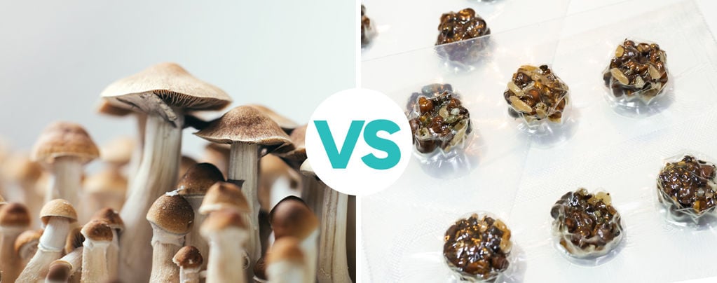¿En qué se diferencian las trufas alucinógenas y las setas mágicas?