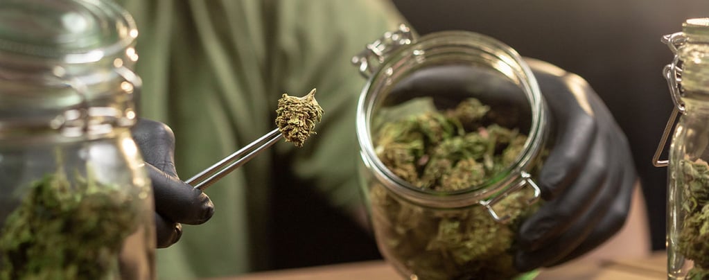 Cómo conservar la marihuana 