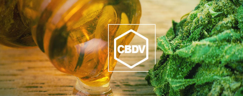 ¿Qué Es El CBDV?