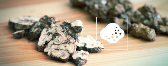 ¿Cómo Funcionan Las Trufas Mágicas?