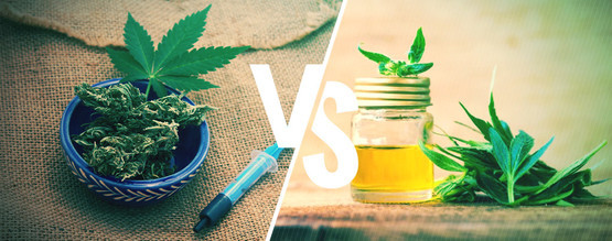 Diferencia Entre El Aceite De CBD Y El Aceite Rick Simpson