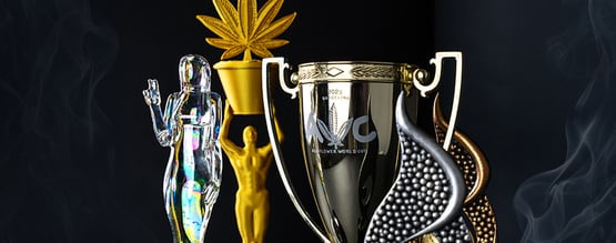 Reconocimientos a nuestro buen hacer: los premios que nos definen