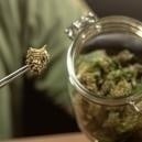 Cómo conservar la marihuana 