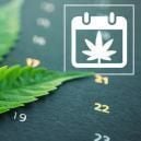 Calendario De Cultivo De Marihuana En Exterior De Zamnesia