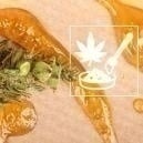 La guía definitiva de concentrados de marihuana
