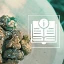 Todo Lo Que Necesitas Saber Sobre Las Trufas Mágicas