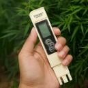 Mejor EC para el cannabis