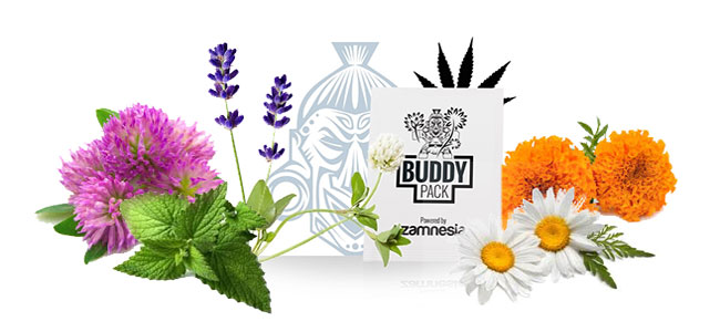 Acompañamiento de amigos cannabis Acompañamiento de amigos cannabis