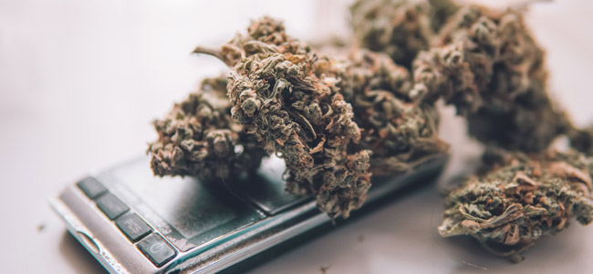 Escala pesa cannabis Escala pesa cannabis