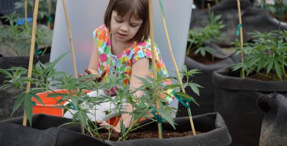 CHARLOTTE, LA NIÑA QUE HA CURADO SU EPILEPSIA CRONICA CON MARIHUANA