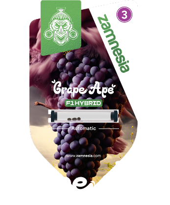 Grape_Ape