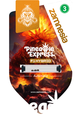 Pineapple_Express