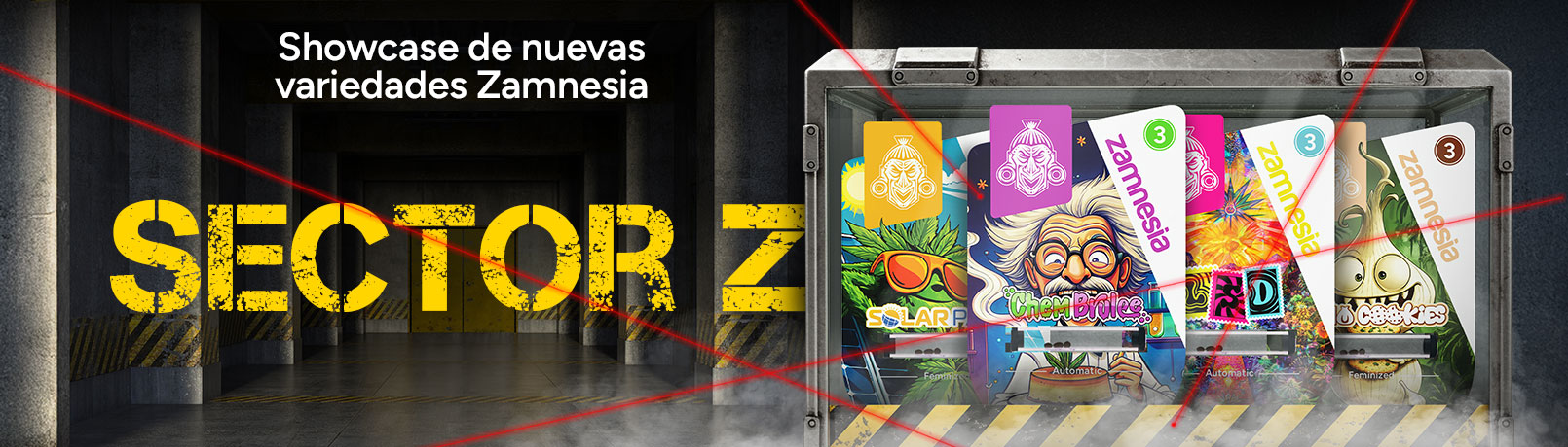 ESnzss_offer_2