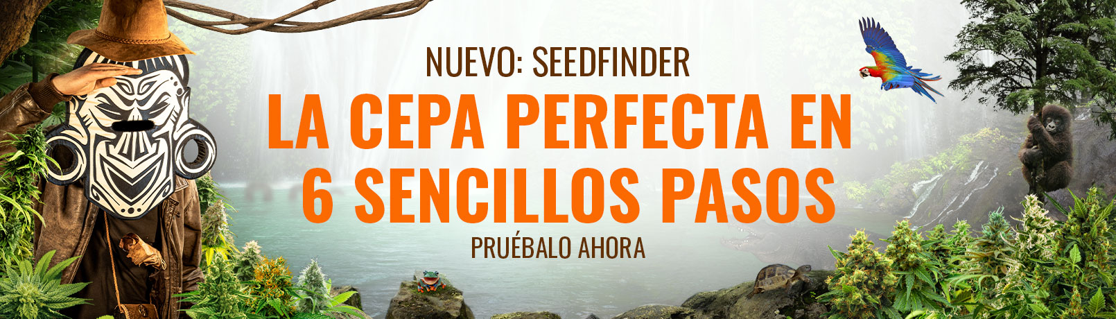 Seedfinder Current Offer Banner ES_offer