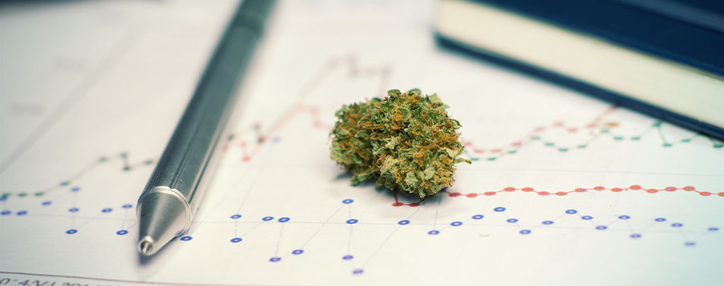 Cannabis Para Estudiar