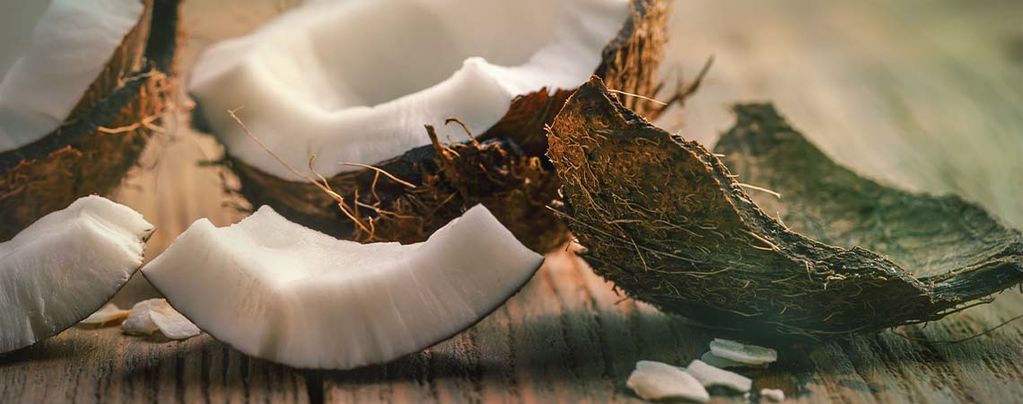 ¿Se Puede Reutilizar La Fibra De Coco?