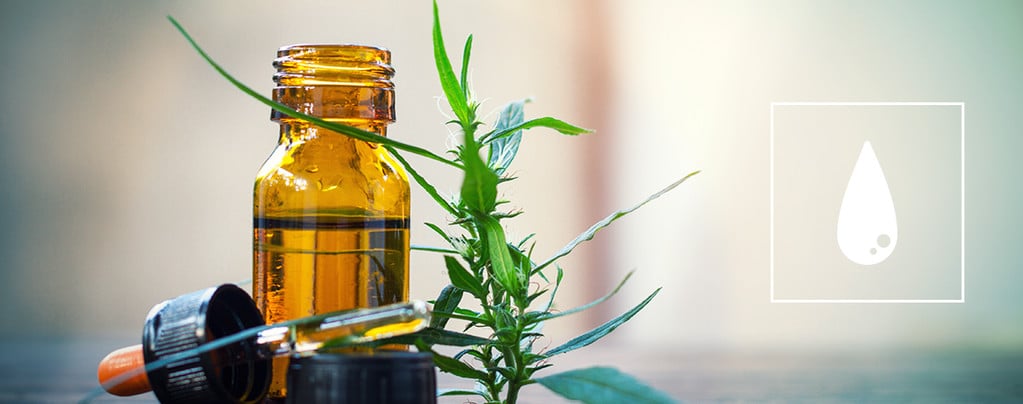Guía Completa Para Elaborar Aceite De Cannabis Con CO₂