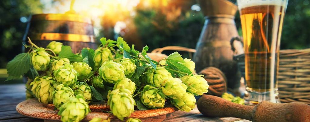 ¿Qué Es El Dry Hopping?