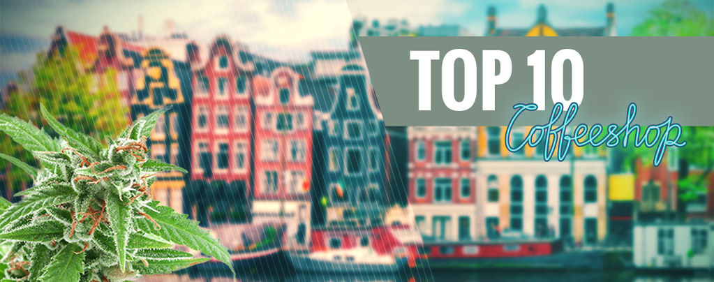 Top 15 Los Mejores Coffeeshops De Ámsterdam De 2018