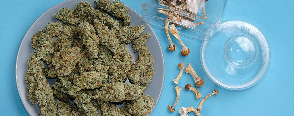 ¿Se Pueden Mezclar Marihuana Y Setas Mágicas?