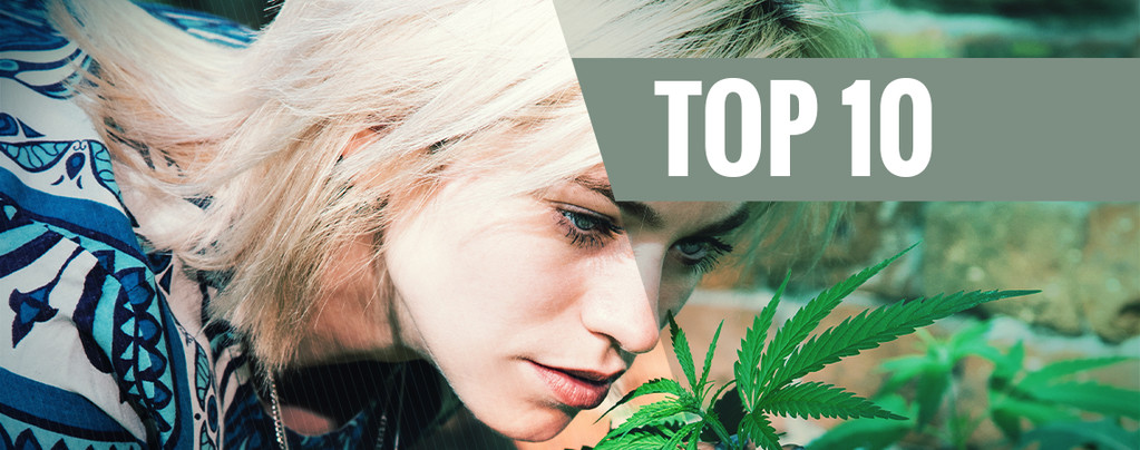 Top 10 De Variedades De Cannabis