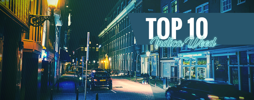 Top 10 De Coffeeshops Con La Mejor Hierba Índica De Ámsterdam