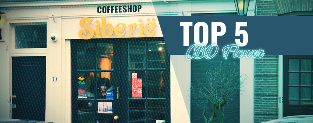Los 5 Mejores Coffeeshops Con Hierba Rica En CBD