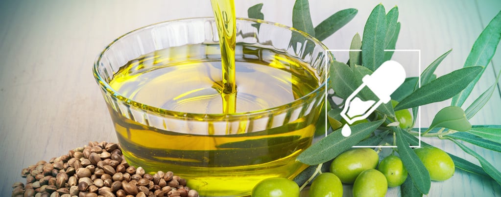 ¿Cuál Es Mejor Portador De CBD, El Aceite De Semillas De Cáñamo O El De Oliva?