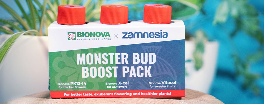 Usa Monster Bud Boost Pack Para Cultivar Mejores Cogollos De Marihuana