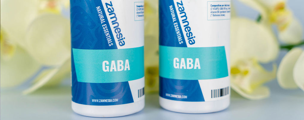 Guía Completa Sobre El GABA (Ácido Y-Aminobutírico)