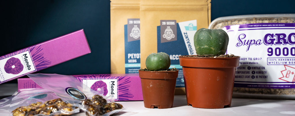 Los 10 Mejores Regalos Para Psiconautas