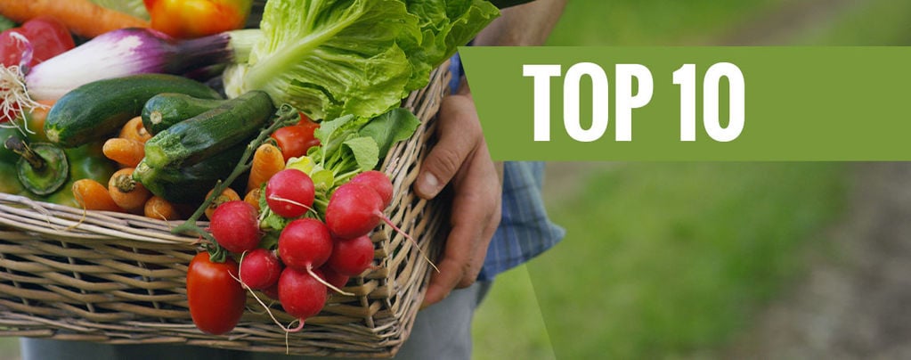 Top 10 De Frutas Y Verduras Fáciles De Cultivar