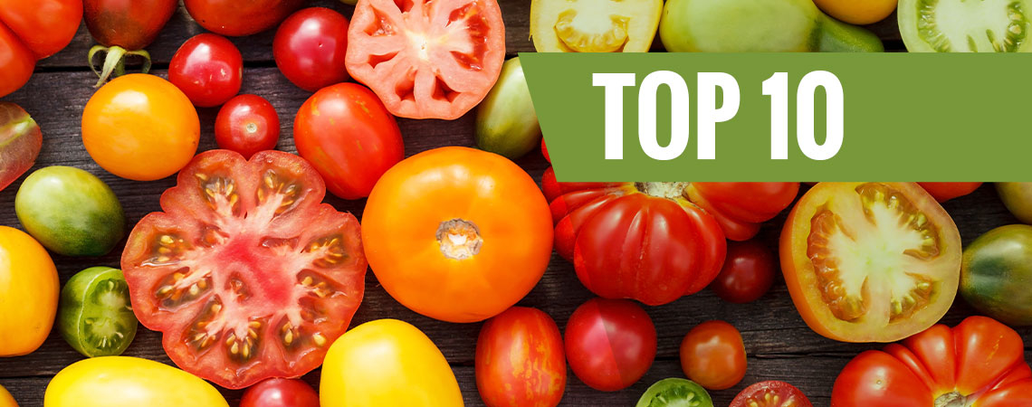 10 Variedades De Tomate Para Cultivar 