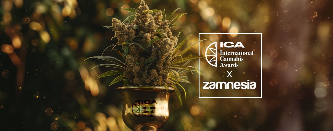 Premios Internacionales Del Cannabis 2024: ¡zamnesia Gana A Lo Grande!