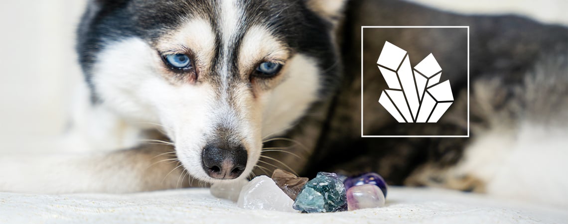 Piedras preciosas para ayudar a tus mascotas