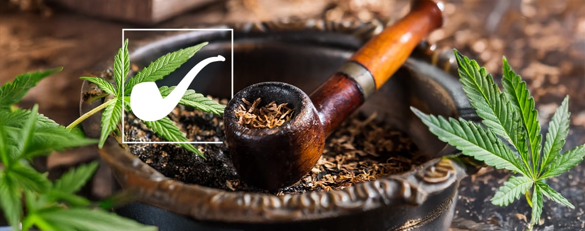 ¿Es marihuana la hoja del Valle Largo de El Señor de los Anillos?