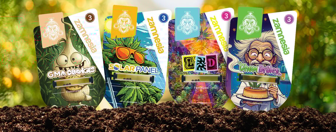 Te damos la bienvenida al Sector Z: Variedades de marihuana clasificadas