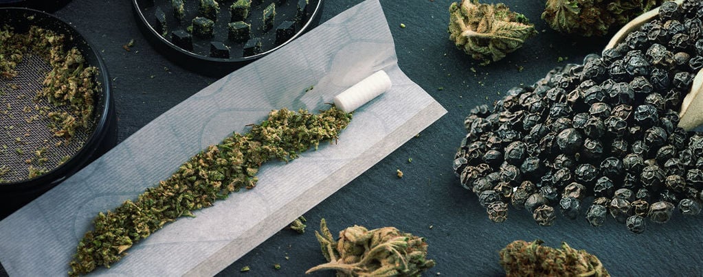 ¿Puede La Pimienta Negra Regular Los Efectos De La Marihuana?