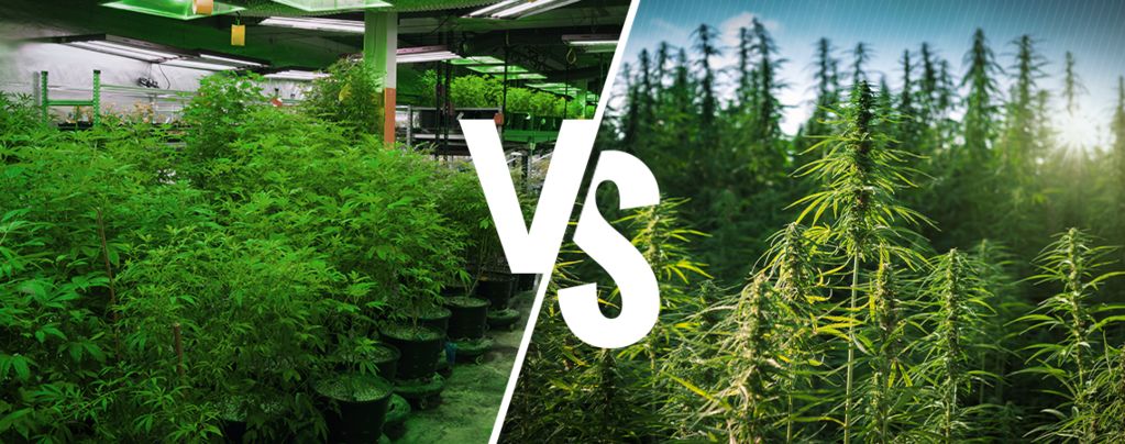 Cannabis Interior vs. Exterior