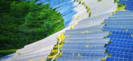 Los Paneles Solares Podrían Revolucionar el Cuarto de Cultivo