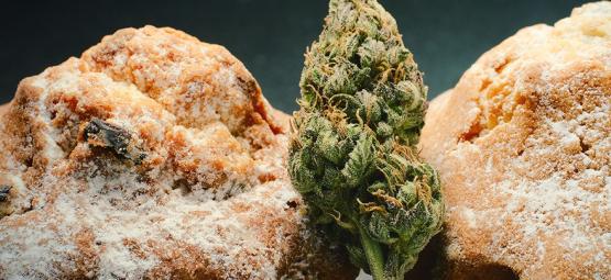Renacimiento de comestibles de cannabis