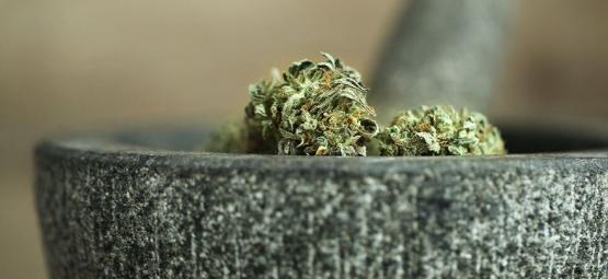 10 Maneras De Picar Marihuana Sin Grinder [Actualización 2025]