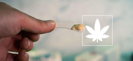 Qué Son Y Cómo Funcionan Los Productos Tópicos De Cannabis