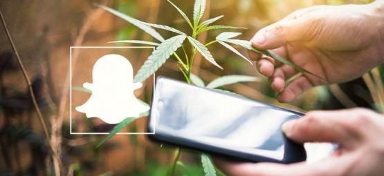 9 Cuentas De Snapchat Sobre El Cannabis