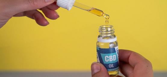 Beneficios Del Aceite De CBD: ¿Deberías Usarlo?