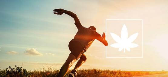 Efectos Del Cannabis En El Rendimiento Deportivo