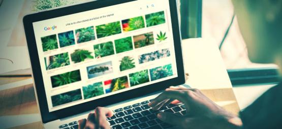 Las Mejores Páginas Web Para Fumetas (Actualización 2025)